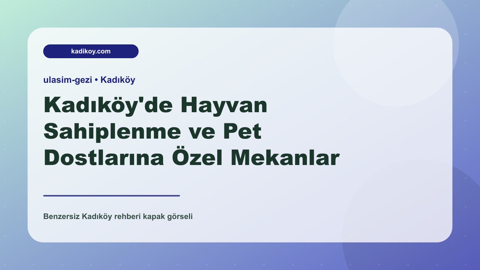 Kadıköy'de Hayvan Sahiplenme ve Pet Dostlarına Özel Mekanlar - Kadıköy blog yazısı