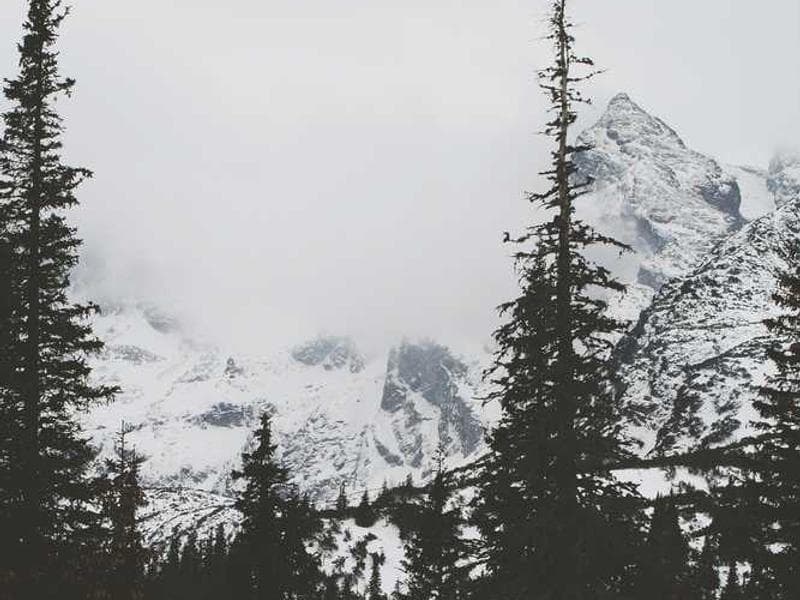 Yeryüzü Repair Cafe 2. yılında - Kadıköy işletme fotoğrafı