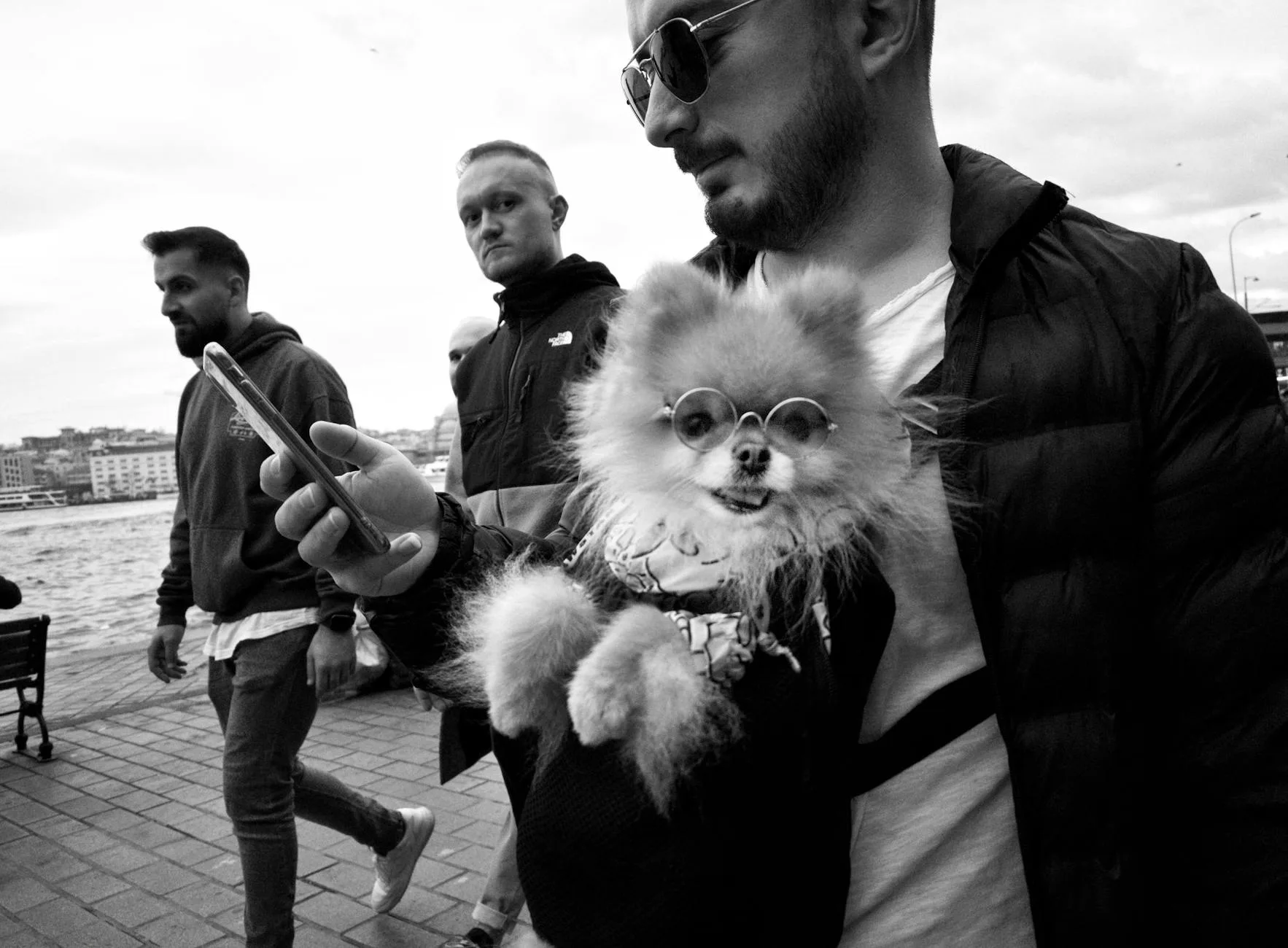 Kadıköy'de Evcil Hayvan Dostu Mekanlar: Kafeler, Parklar ve Veteriner - Kadıköy ilişkili yazı