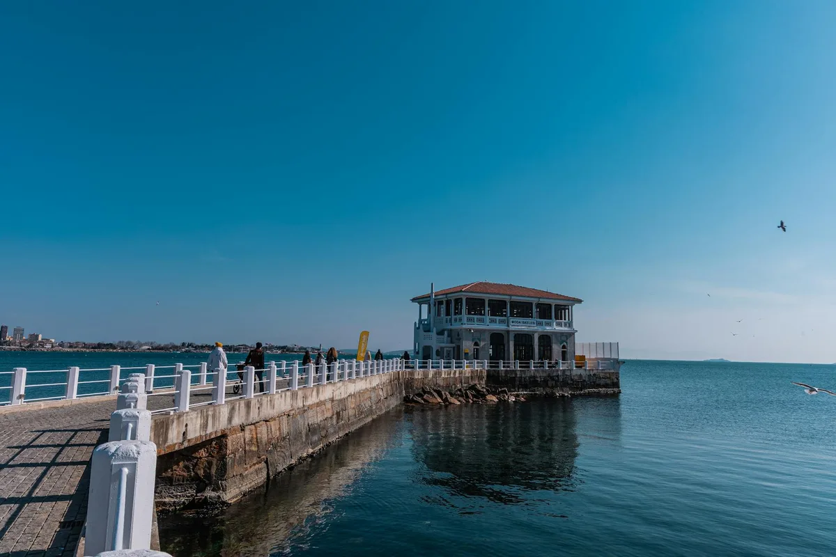 Kadıköy Köpekle Gezilecek Yerler: Parklar, Sahiller ve Pet-Friendly Mekanlar - Kadıköy ilişkili yazı